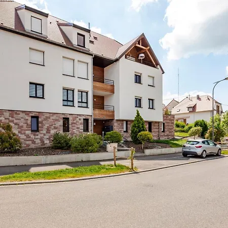 Cozy T2 1-bedroom With Vineyard View * Rosheim