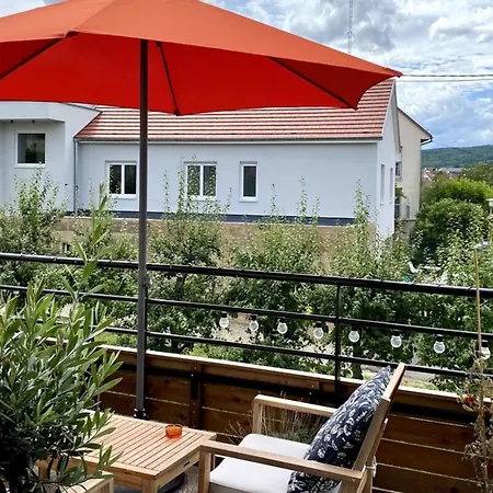 Cozy T2 1-bedroom With Vineyard View Rosheim