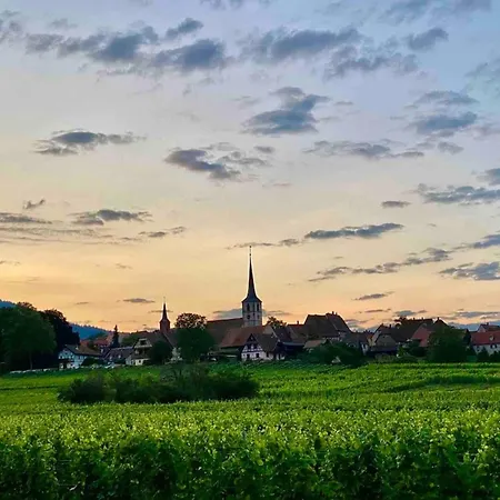 Apartman Cozy T2 1-bedroom With Vineyard View Rosheim